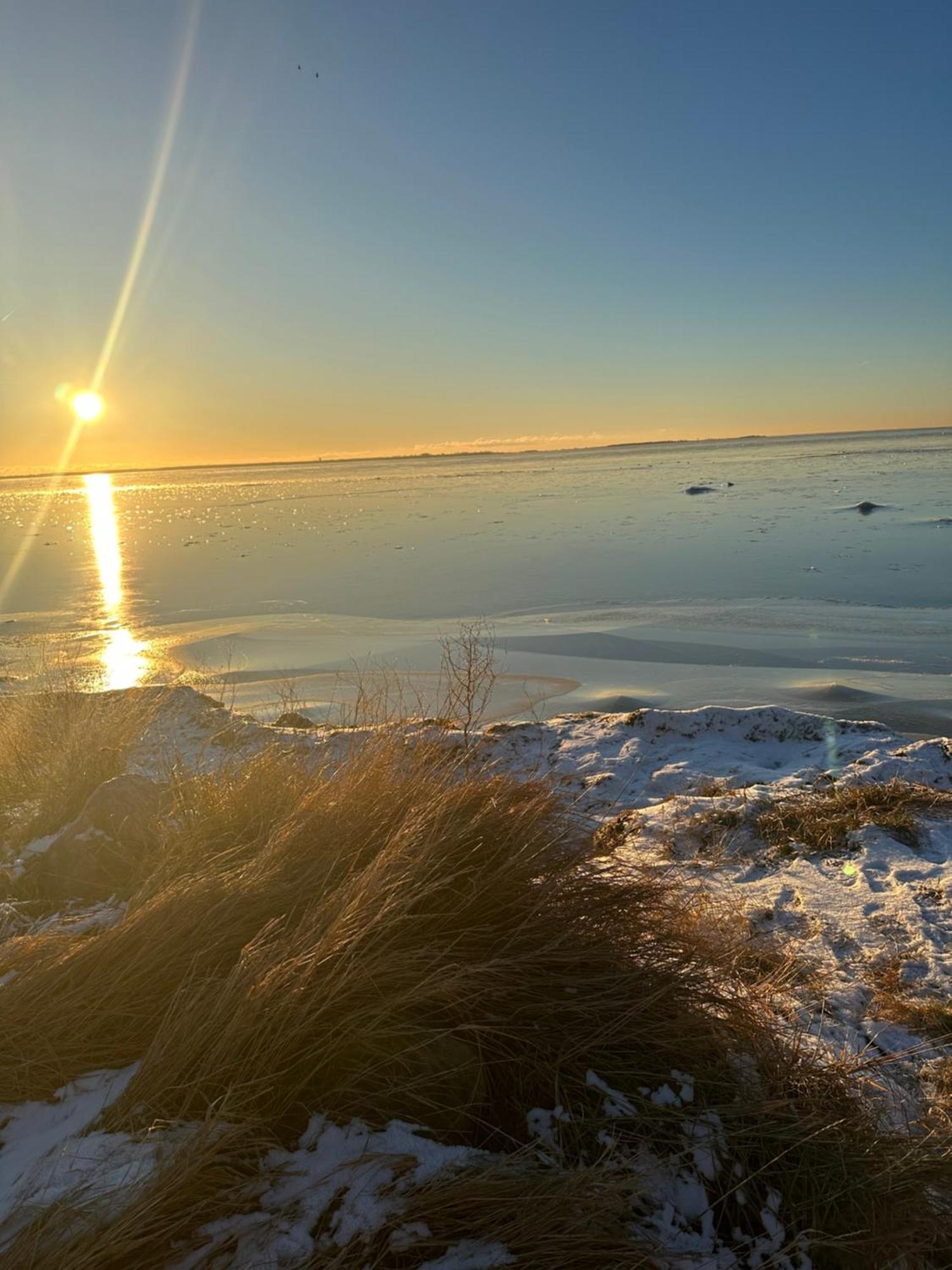 Beach Cabin Höllviken المظهر الخارجي الصورة